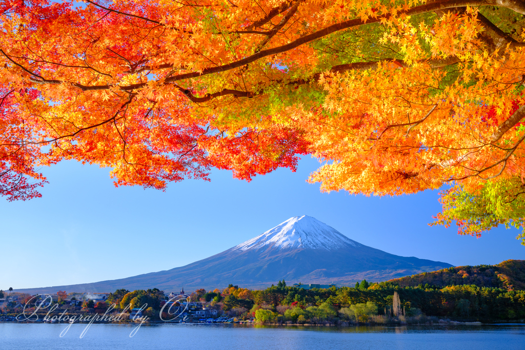 「秋の彩り」